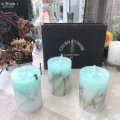 浜松 / 大人の習いごと