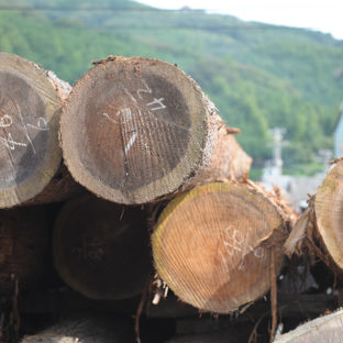 「森を知り、暮らしを考える」