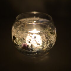 2月14日(日)＊サザンクロスほしの市に出店します