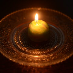 7月の1 Day Lessonのご案内