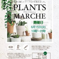 6/15＊プランツマルシェ＠プレ葉ウォーク浜北
