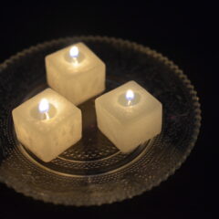 活動再開します！