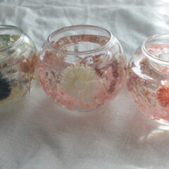 12月12日サザンクロスほしの市